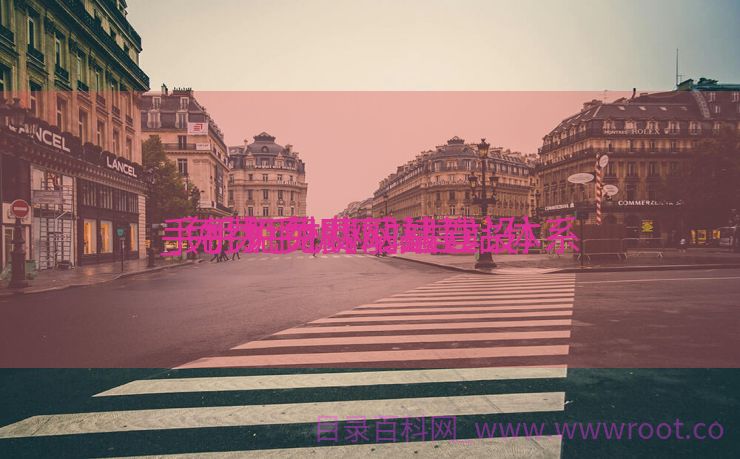 手机免费网站建立
_免费手机网站建站体系
（手机免费网站建设）