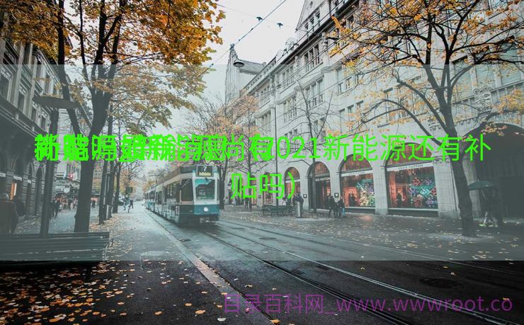 新能源如今
尚有

补贴吗_新能源尚有

补贴吗最新消息（2021新能源还有补贴吗）