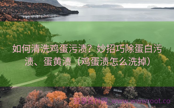 如何清洗鸡蛋污渍？妙招巧除蛋白污渍、蛋黄渍（鸡蛋渍怎么洗掉）