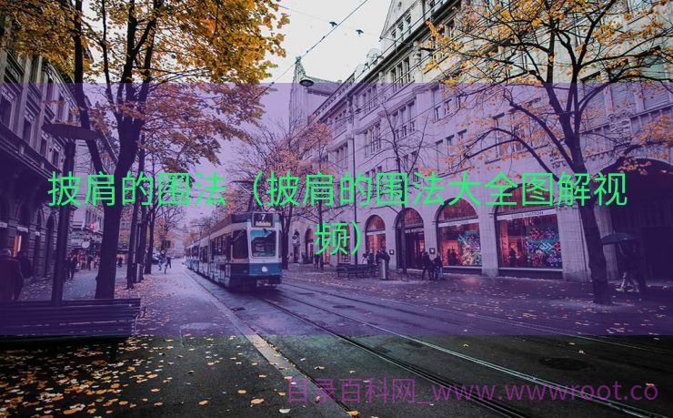 披肩的围法（披肩的围法大全图解视频）