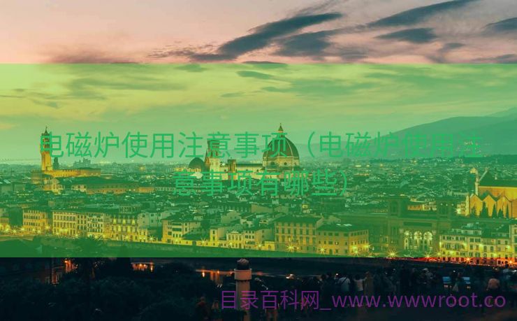 电磁炉使用注意事项（电磁炉使用注意事项有哪些）