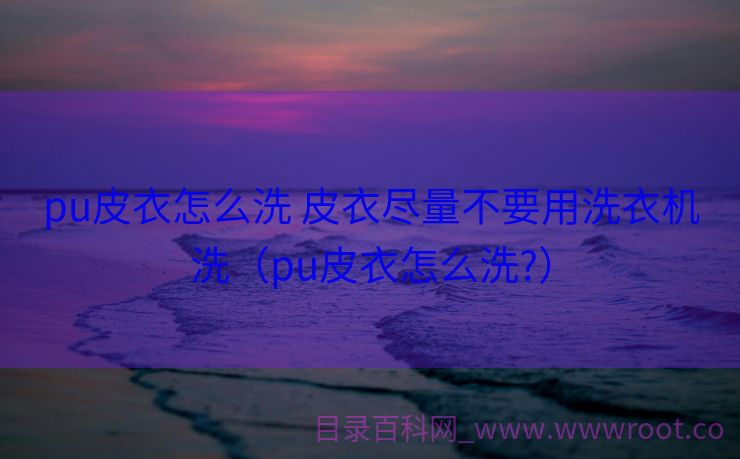 pu皮衣怎么洗 皮衣尽量不要用洗衣机洗（pu皮衣怎么洗?）