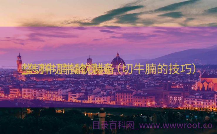 整切牛腩餐饮装备
_怎样切牛腩视频（切牛腩的技巧）