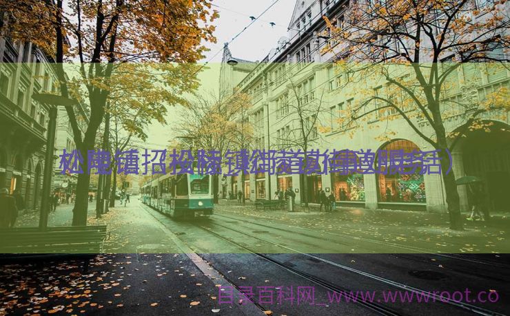 松陵镇招投标_松陵镇街道服务
处电话（松陵镇街道办事处电话）