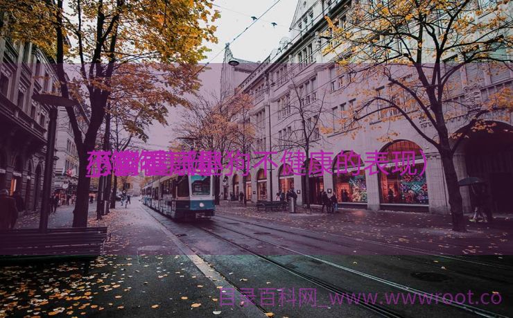 小狗不康健
_狗狗康健
不康健
怎么看（小狗不健康的表现）