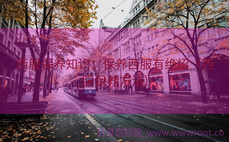 西服保养知识：保养西服有绝招（西服保养方法）