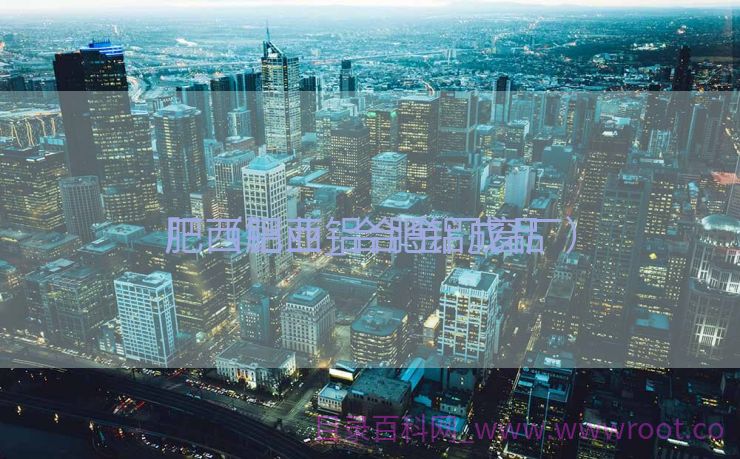 肥西铝业_合肥铝成品
厂（肥西铝合金门窗厂）