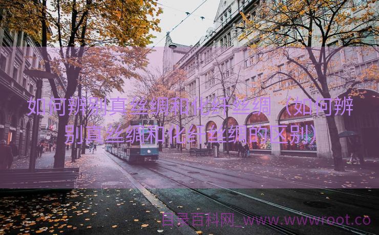 如何辨别真丝绸和化纤丝绸（如何辨别真丝绸和化纤丝绸的区别）