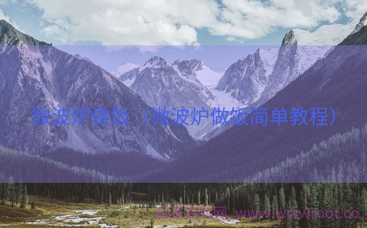 微波炉做饭（微波炉做饭简单教程）