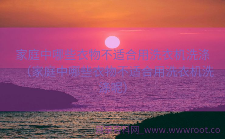家庭中哪些衣物不适合用洗衣机洗涤（家庭中哪些衣物不适合用洗衣机洗涤呢）