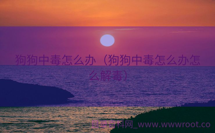 狗狗中毒怎么办（狗狗中毒怎么办怎么解毒）