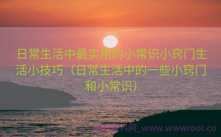 日常生活中最实用的小常识小窍门生活小技巧（日常生活中的一些小窍门和小常识）