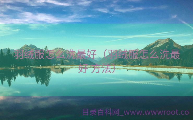 羽绒服怎么洗最好（羽绒服怎么洗最好 方法）