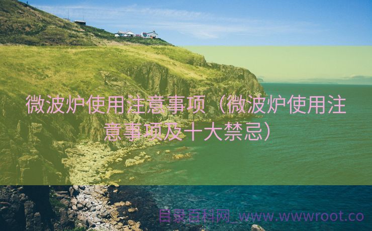 微波炉使用注意事项（微波炉使用注意事项及十大禁忌）