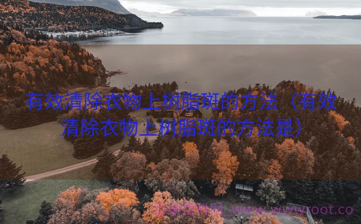 有效清除衣物上树脂斑的方法（有效清除衣物上树脂斑的方法是）