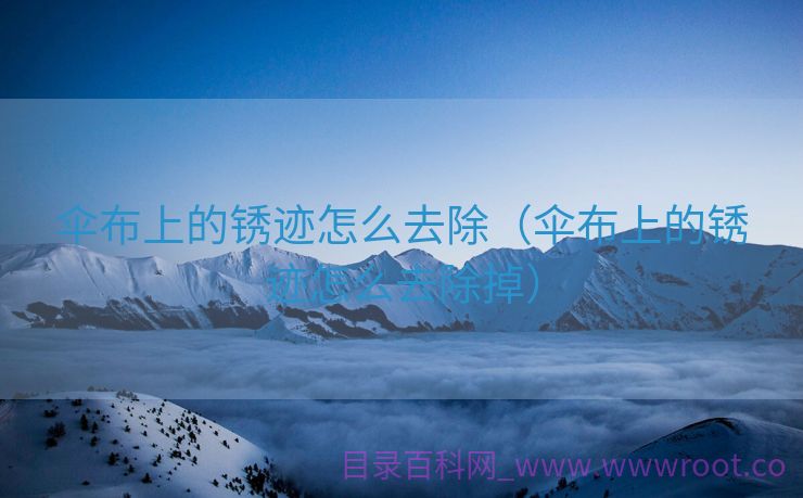伞布上的锈迹怎么去除（伞布上的锈迹怎么去除掉）