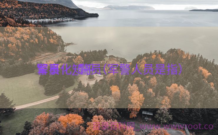 警员
军事化_警员
军事化知乎（军警人员是指）