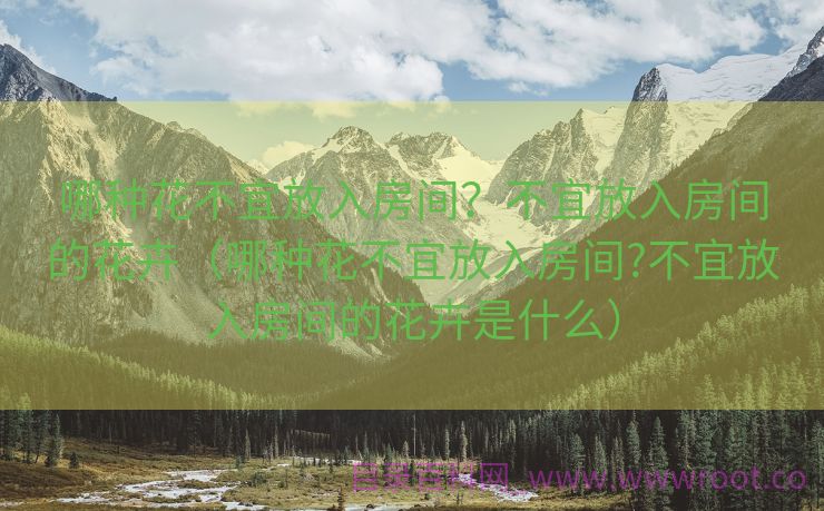 哪种花不宜放入房间？不宜放入房间的花卉（哪种花不宜放入房间?不宜放入房间的花卉是什么）