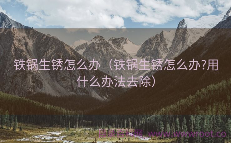 铁锅生锈怎么办（铁锅生锈怎么办?用什么办法去除）