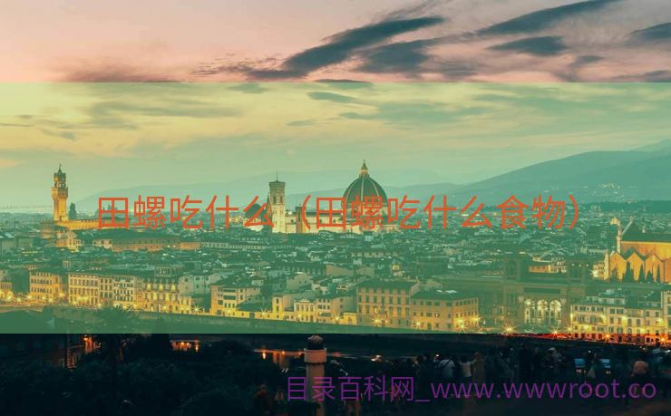 田螺吃什么（田螺吃什么食物）