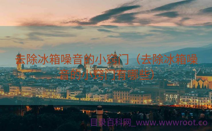 去除冰箱噪音的小窍门（去除冰箱噪音的小窍门有哪些）
