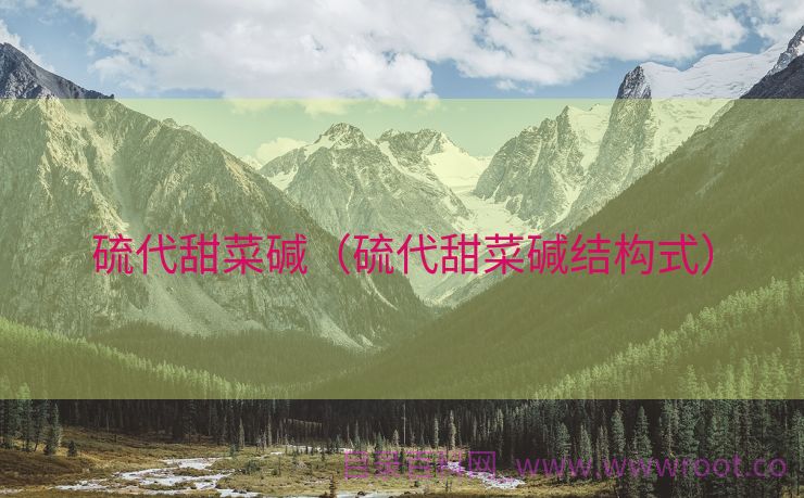 硫代甜菜碱（硫代甜菜碱结构式）