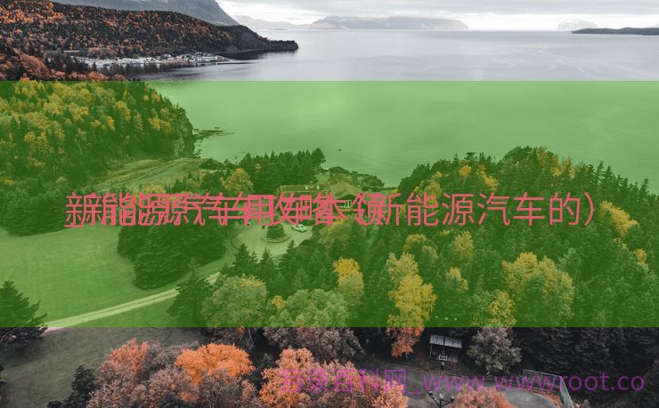 新能源汽车用车本领
_新能源汽车攻略（新能源汽车的）