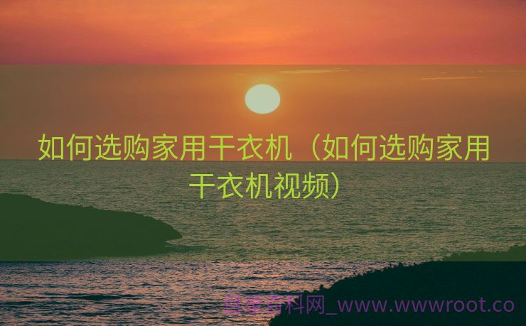如何选购家用干衣机（如何选购家用干衣机视频）