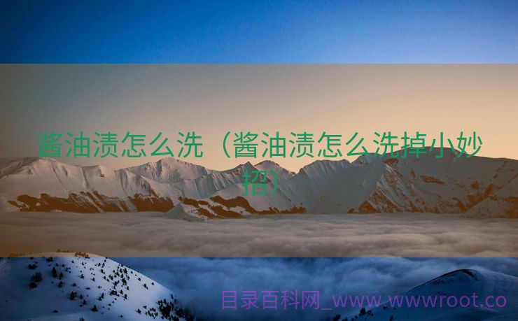 酱油渍怎么洗（酱油渍怎么洗掉小妙招）