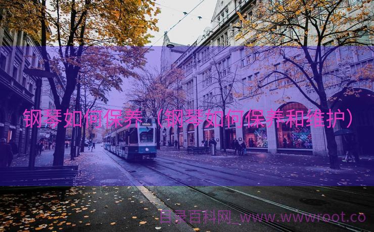 钢琴如何保养（钢琴如何保养和维护）