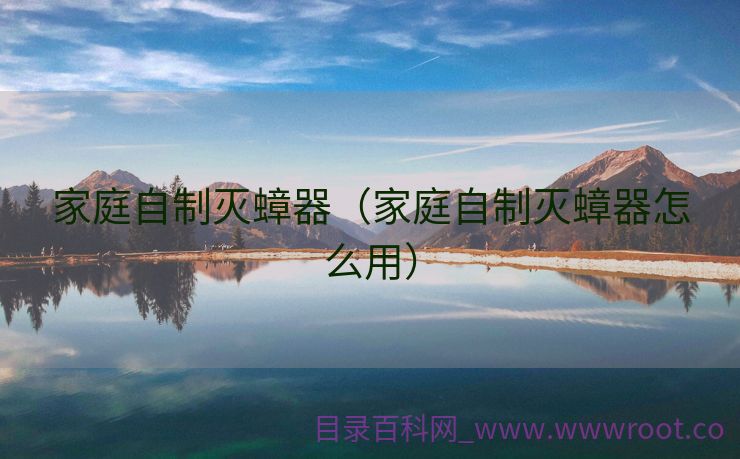 家庭自制灭蟑器（家庭自制灭蟑器怎么用）