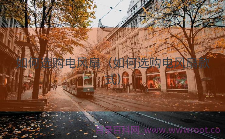 如何选购电风扇（如何选购电风扇款式）