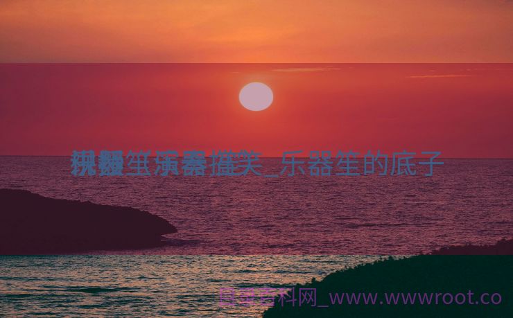 乐器笙演奏搞笑_乐器笙的底子
讲授
视频（乐器 笙）