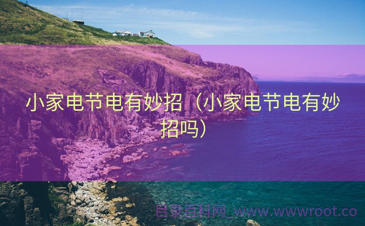 小家电节电有妙招（小家电节电有妙招吗）