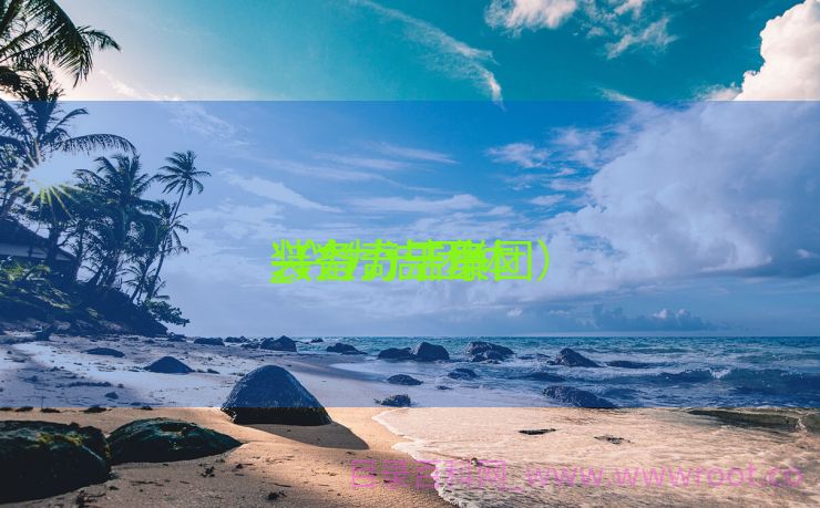兴力奇干净
装备
_兴力洁团体
（兴力洁集团）