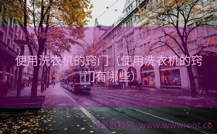 使用洗衣机的窍门（使用洗衣机的窍门有哪些）
