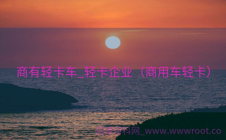 商有轻卡车_轻卡企业（商用车轻卡）