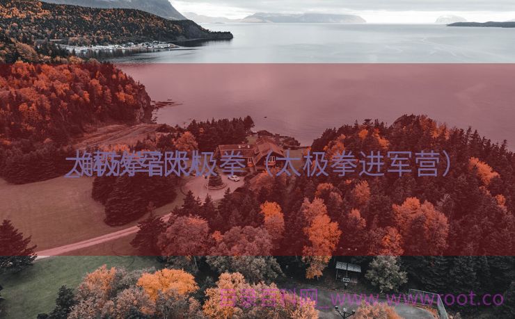 太极拳部队
_解放军太极拳（太极拳进军营）