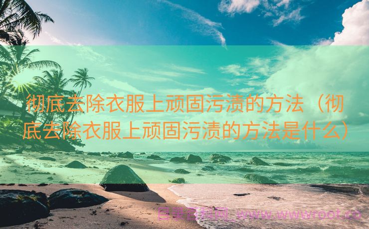 彻底去除衣服上顽固污渍的方法（彻底去除衣服上顽固污渍的方法是什么）