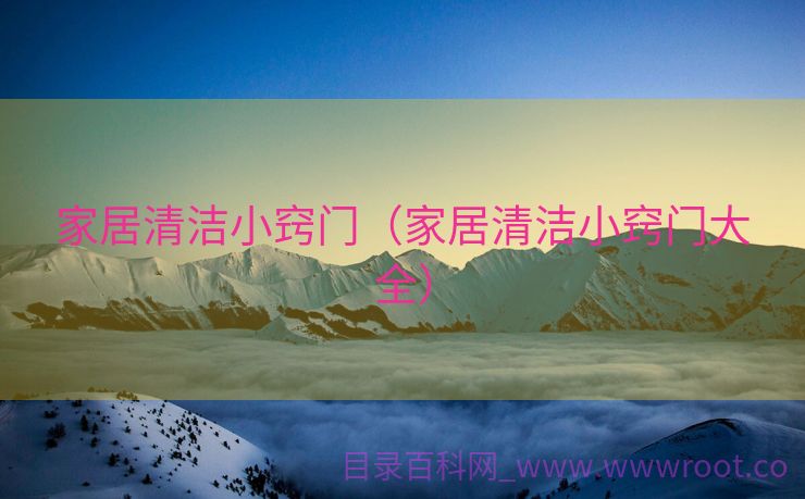 家居清洁小窍门（家居清洁小窍门大全）