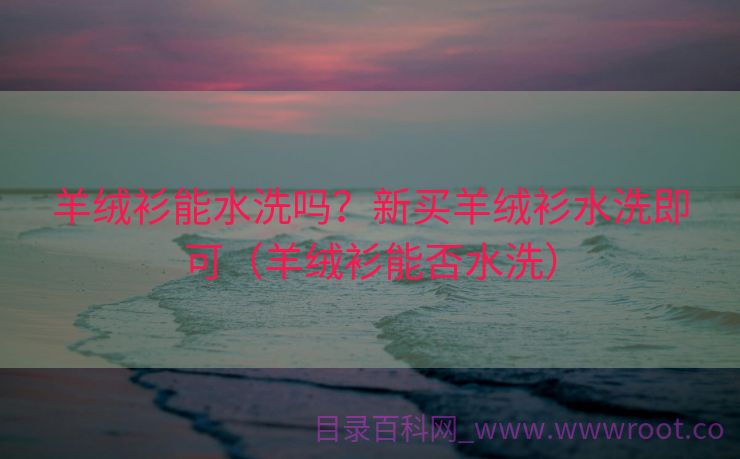 羊绒衫能水洗吗？新买羊绒衫水洗即可（羊绒衫能否水洗）