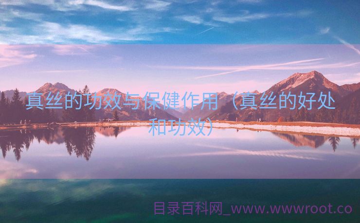 真丝的功效与保健作用（真丝的好处和功效）