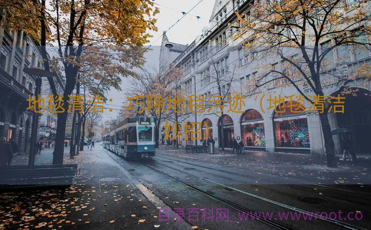 地毯清洁：巧除地毯污迹（地毯清洁妙招）