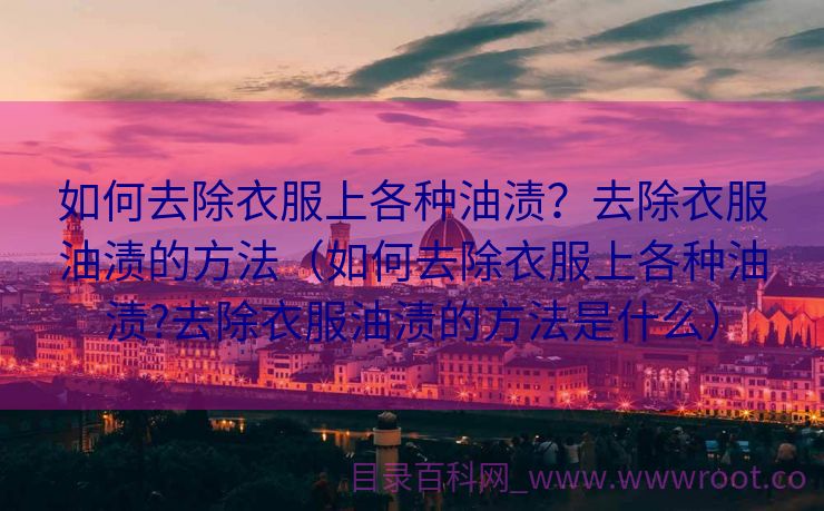 如何去除衣服上各种油渍？去除衣服油渍的方法（如何去除衣服上各种油渍?去除衣服油渍的方法是什么）