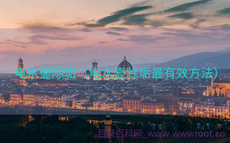 电水壶除垢（电水壶除垢最有效方法）