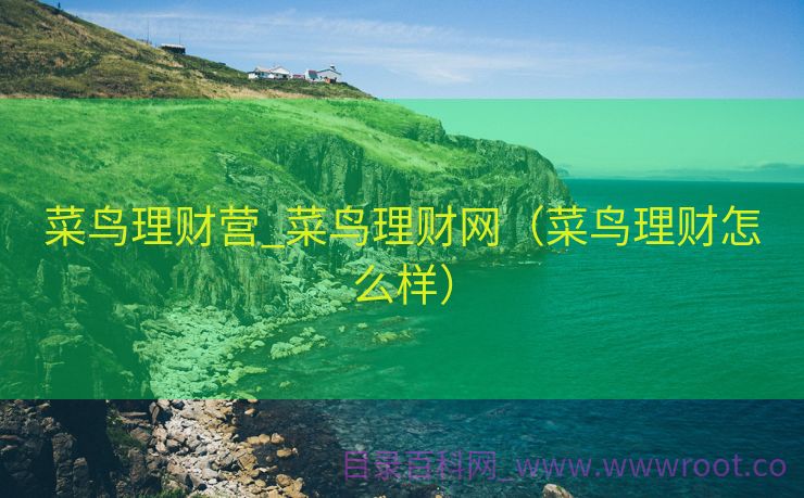 菜鸟理财营_菜鸟理财网（菜鸟理财怎么样）