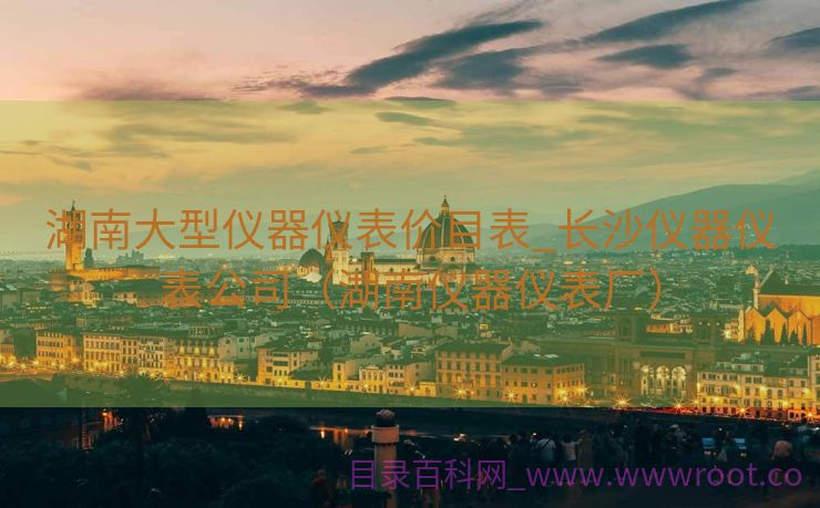 湖南大型仪器仪表价目表_长沙仪器仪表公司（湖南仪器仪表厂）