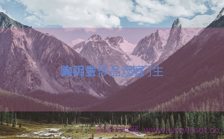 大门生
购买奢侈品_大门生
购买奢侈品观察
陈诉
