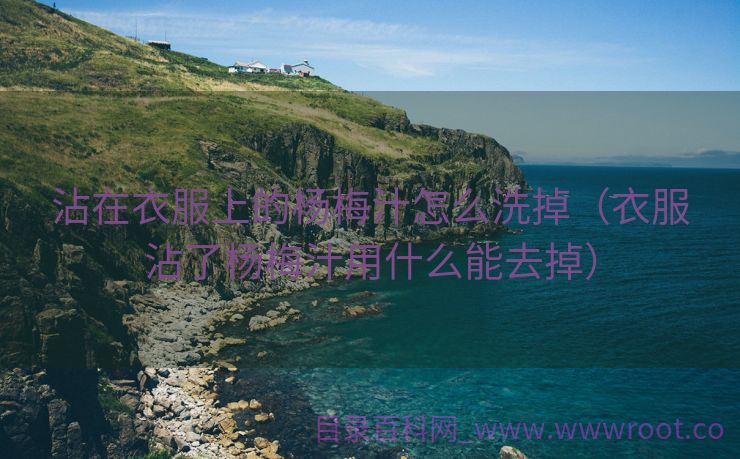 沾在衣服上的杨梅汁怎么洗掉（衣服沾了杨梅汁用什么能去掉）