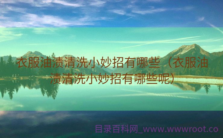 衣服油渍清洗小妙招有哪些（衣服油渍清洗小妙招有哪些呢）
